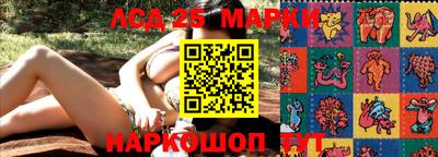 амф Коммунар