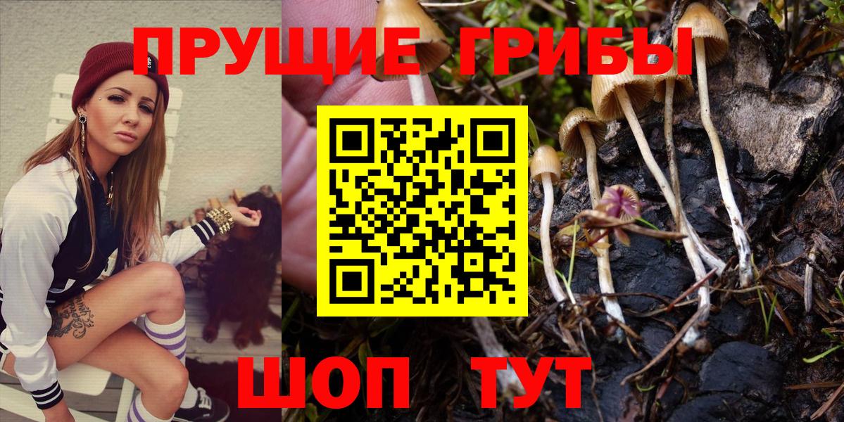 Экстази  ГАШ  Cocaine  Купить наркоту  Кстово  Кокаин  ТГК  Меф  Бошки Шишки  Меф кристаллы  Вход с VPN 