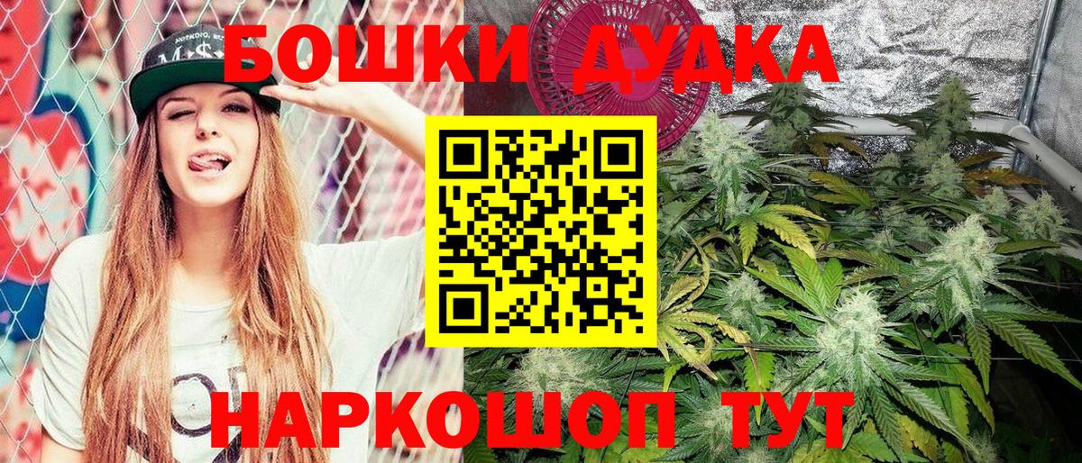 Марихуана White Widow  Канабис планчик  Кстово  Вход с VPN  Марихуана гибрид 